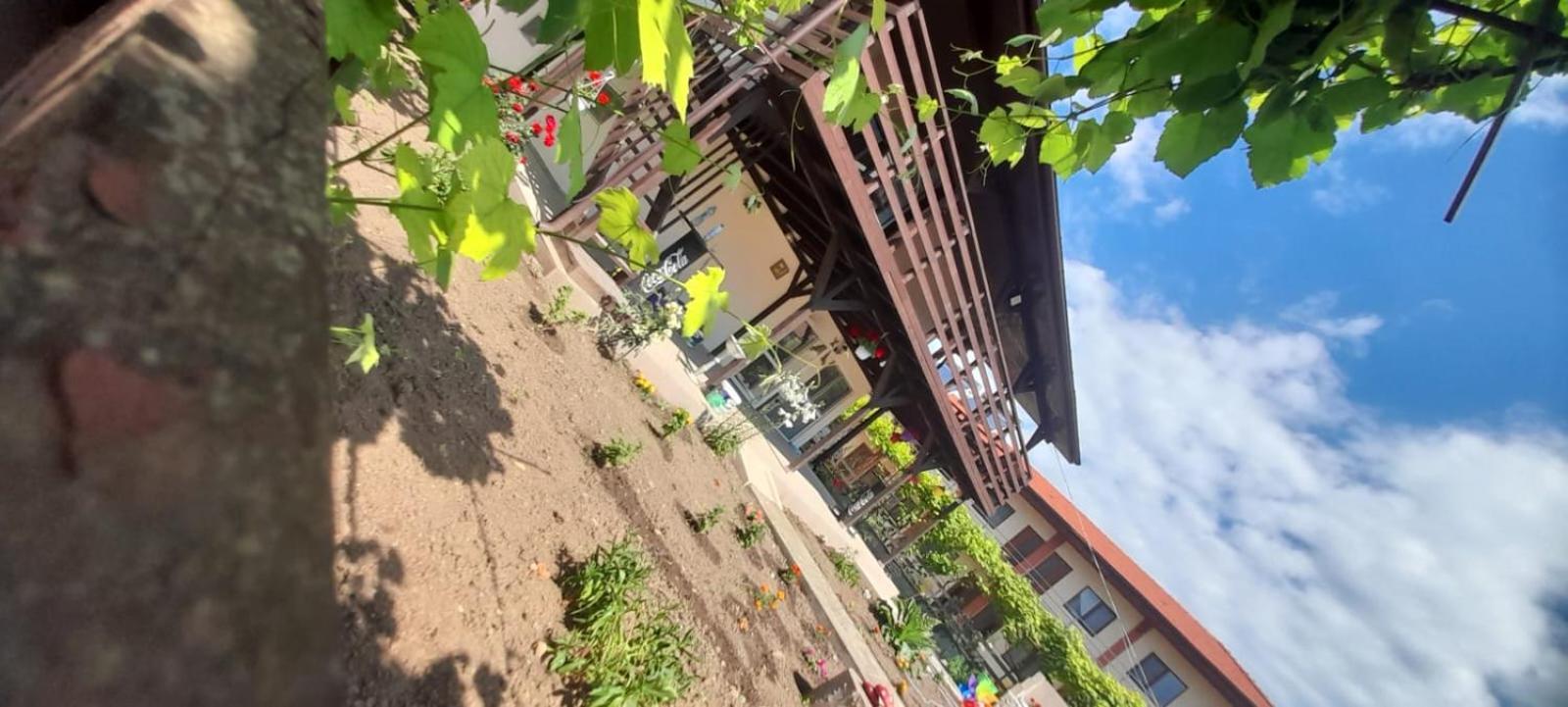 Casa Calin Privatunterkunft *